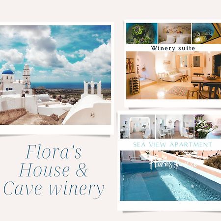 فيلا Pýrgosفي Flora'S House & Cave Winery المظهر الخارجي الصورة