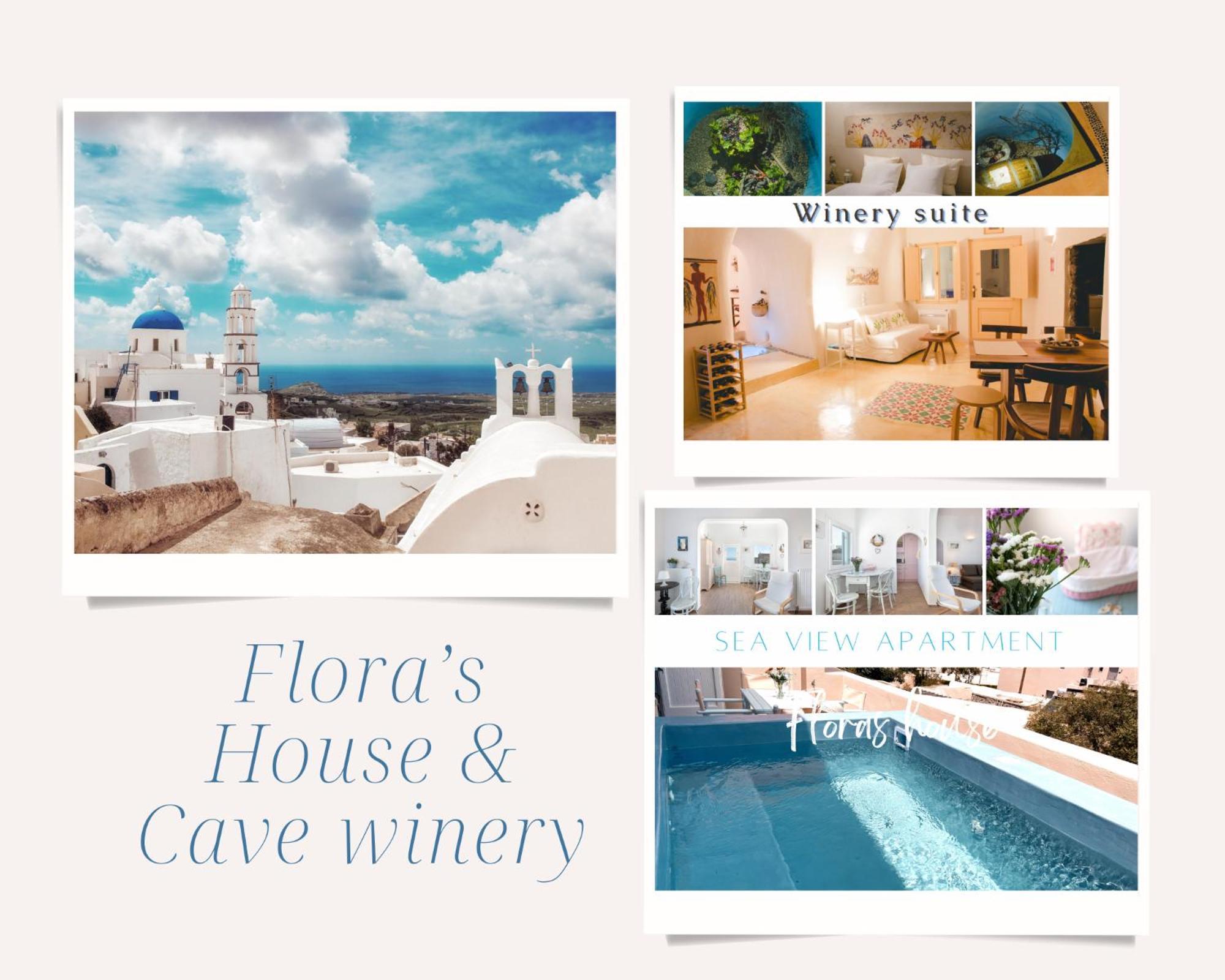 فيلا Pýrgosفي Flora'S House & Cave Winery المظهر الخارجي الصورة